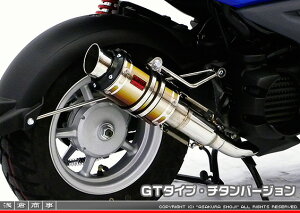 r[EBYiBWS50jSA53J ZZR^Cv}t[ GT^Cv `^o[W ASAKURAiqj