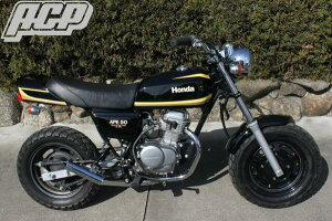 APE50/GCv50 FX^CvpCXebJ[ ^CK[J[ ACPiG[V[s[j