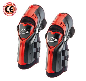 AC-22114 GORILLA j[K[h ubN×bh t[TCY A`FrXiACERBISj