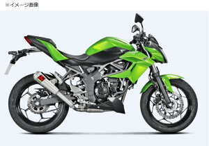 Z250SLi15Nj XbvI}t[iGP^CvTCT[j AKRAPOVICiAN|Bb`j