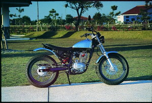 A~^NTYPE-4 BIGCEDARirbOV[_[j FTR223iLuԁj