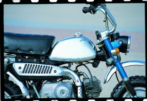 A~^NT-5 4LF BIGCEDARirbOV[_[j L[iMONKEYj