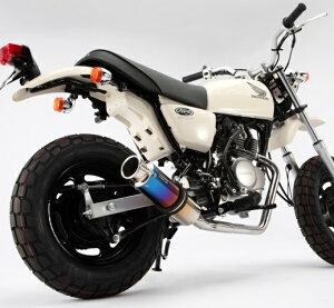 APE50iGCvjLu SS300`^}t[ _E^Cv BEAMSir[Xj