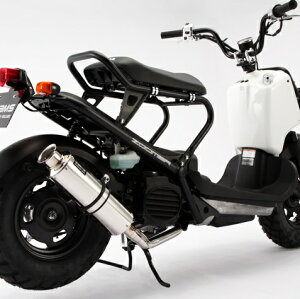 Y[}[iZOOMERjCWFNV SS300\jbN}t[ BEAMSir[Xj