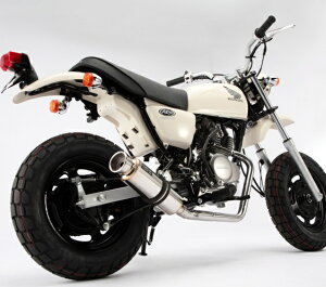 APE50iGCvjCWFNVԁiJBH-AC16j SS300\jbN}t[ _E^Cv BEAMSir[Xj