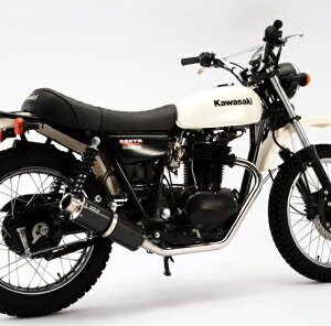 250TRiCWFNVԁj SS300J[{}t[ BEAMSir[Xj