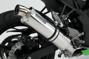 Z250SLiJBK-BR250Ej R-EVO XbvI}t[ XeXTCT[ {F BMS-Rir[Xj