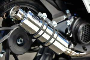 Dio110ifBI110j21N SS300 }t[ \jbNSP {F BMS-Rir[Xj