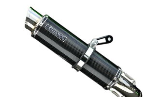 ZX-25Ri8BK-ZX250Hj R-EVO2 XbvI}t[ J[{TCT[ {F BMS-Rir[Xj