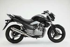 GSR250iJBK-GJ55Dj R-EVOXeX|bV XbvI}t[ VO {F BMS-Rir[Xj