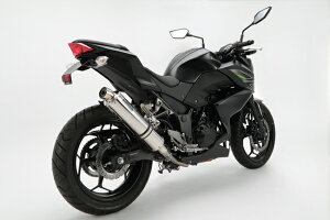 Z250i2013N`j R-EVOXeX|bV XbvI}t[ JMCAF BMS-Rir[Xj