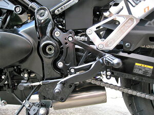 Z900RS nCp[oN ubN/Vo[dl BEETir[gj