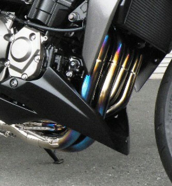 楽天市場】Z1000（14年） NASSERT（ナサート） Evolution Type2 T-2 