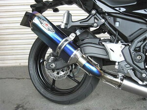 Ninja�i�j���W���j650�iABS�j17�N NASSERT Evolution Type2 �t���G�L�]�[�X�g�}�t���[ �u���[�`�^���T�C�����T�[�d�l BEET�i�r�[�g�j