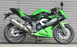 Ninja250SLijWj15N NASSERTiiT[gjEvolution ^Cv2 tGL][Xg}t[NA`^TCT[ BEETir[gj