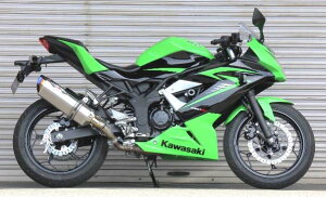 Ninja250SLijWj15N NASSERTiiT[gjEvolution ^Cv2 XbvI}t[NA`^TCT[ BEETir[gj