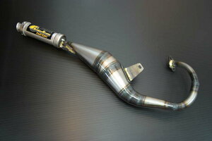 X[p[^NgiTACTj pCU[3`o[ chameleoniJIt@Ng[j