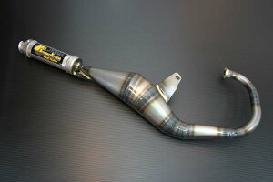 �W���O�iJOG�j6ps�i2JA�j �p�����C�U�[3�`�����o�[ chameleon�i�J�����I���t�@�N�g���[�j