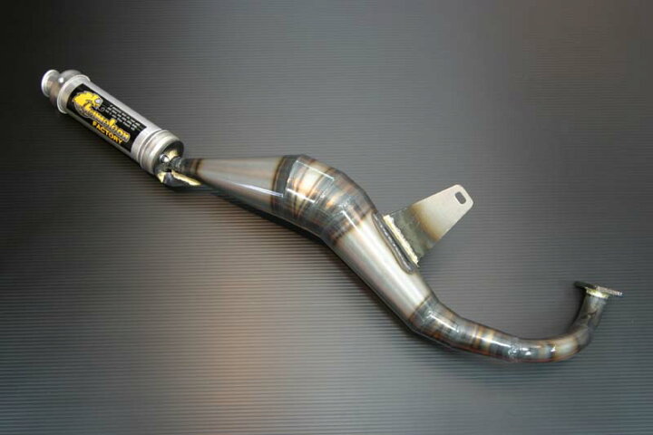 楽天市場】パラライザー3チャンバー chameleon（カメレオン 