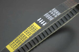 ptH[}XVxg chameleoniJIt@Ng[j Y[}[iZOOMERj