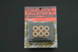 yʃEFCg[[Zbg 5.8gi15×12mmj6 chameleoniJIt@Ng[j