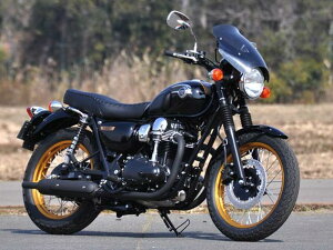 W800i11N`j KCV[h STCY NA CHIC DESIGNiVbNfUCj