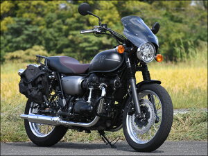 KCV[h X[N STCY CHIC DESIGNiVbNfUCj W800 STREETi19Nj