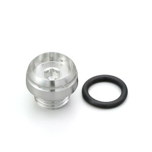 A~rbgICtB[LbviBULLET^CvjM20XP2.5 Vo[ DAYTONAifCgij