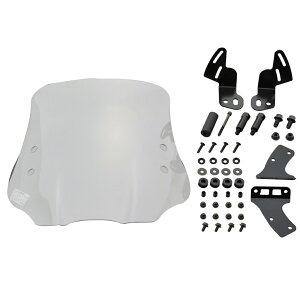 XEBbViSWISHj18`19N DV12B EChV[hHC DAYTONAifCgij