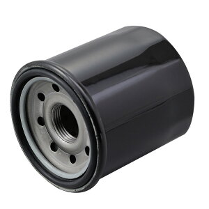 G~l[^[250Vi07Nj vCXICtB^[ J[gbWiKAWASAKInj DAYTONAifCgij