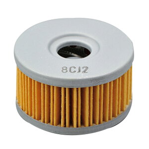 O[X350iGOOSEj vCXICtB^[ iSUZUKInj DAYTONAifCgij