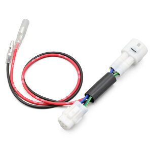 VOiXXi19`21Nj 񂽂don[lX bgC{bNXp DAYTONAifCgij