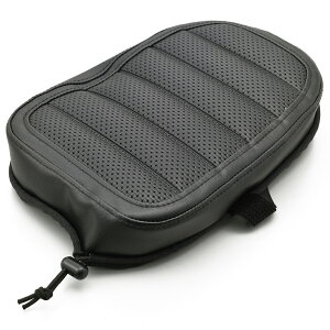 u1100iRebel1100j/DCT V[gJo[ DAYTONAifCgij