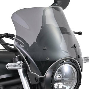 ELIMINATORiG~l[^[j uXgoA[ X[N DAYTONAifCgij