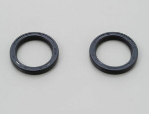 ANVXg[giAXISTreetj41D v[[ICV[Zbg DAYTONAifCgij