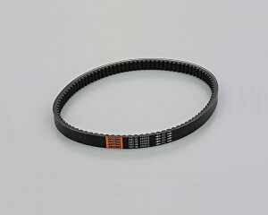 PS250i04`06N MF09j Vxg DAYTONAifCgij