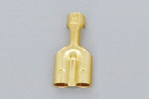 CA/CW104^_uM{V[q X 100 DAYTONAifCgij