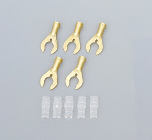 N^[qX[u nhc[ߗp [q≏X[u e50Zbg 6 DAYTONAifCgij