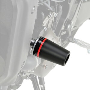 XSR900i22Nj GWveN^[ DAYTONAifCgij