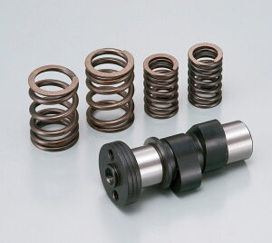 APE100iGCvj nCJVtg DAYTONAifCgij