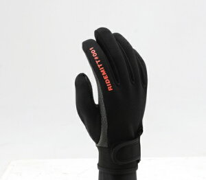 RIDEMITTiCh~bgj001 lIvO[u V[NXL ubN LLTCY DAYTONAifCgij