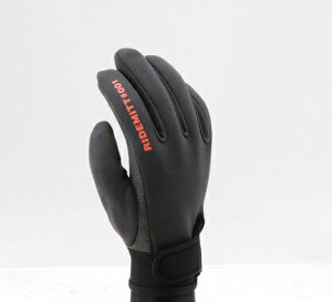 RIDEMITTiCh~bgj001 lIvO[u V[NXL O[ STCY DAYTONAifCgij