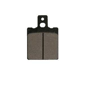 DUCATI Monster1000 nCp[pbhiu[LpbhjAp DAYTONAifCgij