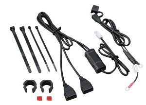 2.1A oCNpd USB2|[g DAYTONAifCgij