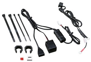2.1A oCNpd USB1|[g+VK[\Pbg1|[g DAYTONAifCgij