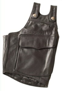 CH-6 {vq[gK[h/HEATGUARDiubNjEp fOi[iDEGNERj