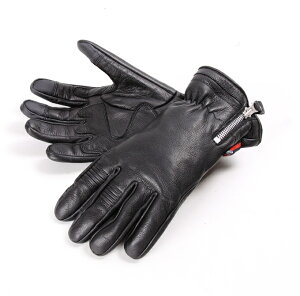 3V[Y U[O[uiX}zΉjubN STCY DEGNERifOi[j