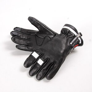 3V[Y U[O[uiX}zΉjubN/zCg STCY DEGNERifOi[j