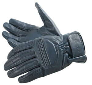 TG-53 U[O[u lCr[ STCY DEGNERifOi[j