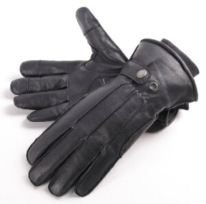 WG-34 U[O[u ubN XLTCY DEGNERifOi[j